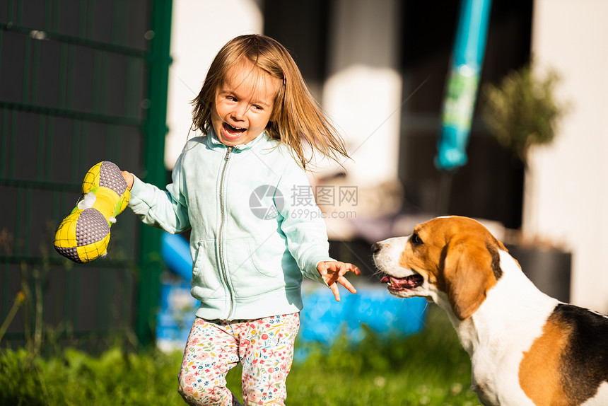 23岁的幼女在花园里玩小狗在花园里玩小狗在夏日追赶一个草地上玩具的女孩幼小23岁的童女在花园里玩小狗图片