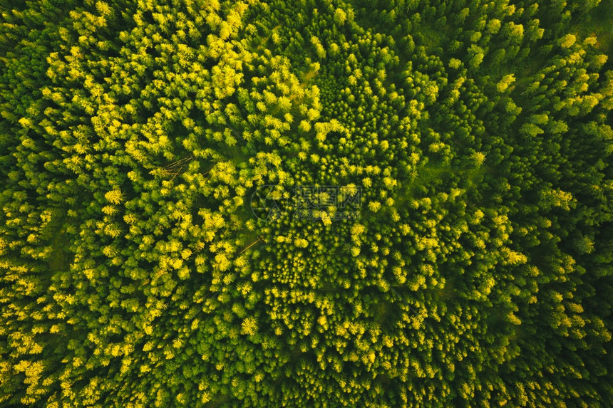 奥地利绿色高山森林的空中观察Styrian高山自然奥地利绿色高山森林的空中观察图片