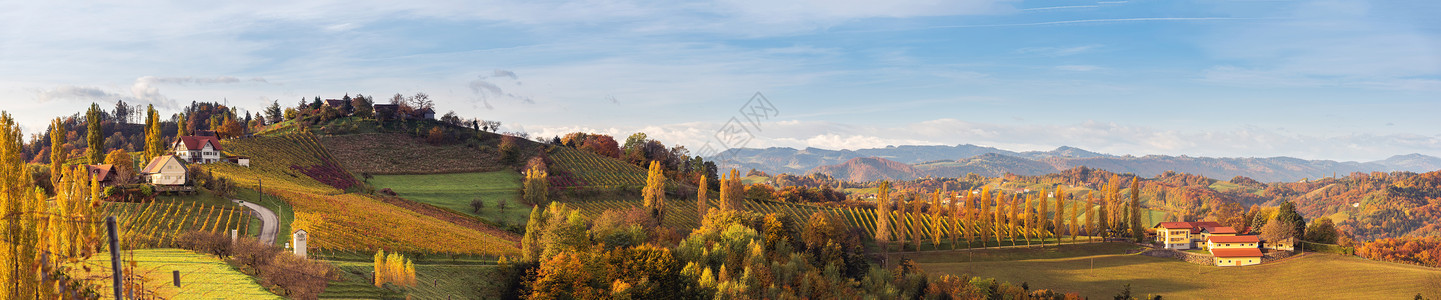 黄岗岩奥地利托斯卡纳的南方葡萄园全景色秋天的日出山顶多彩树木和有花岗的黄地奥利托斯卡纳的南方全景色葡萄园秋天的日出背景