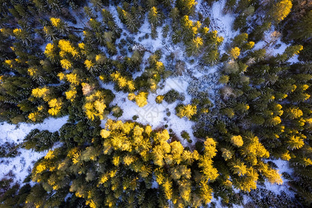 日落太阳下的冬季森林空中观察地面上覆有雪日落时冬季森林空中观察背景图片