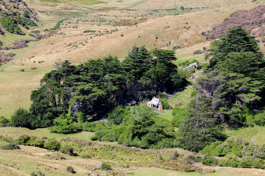 Otago半岛农村风景图片