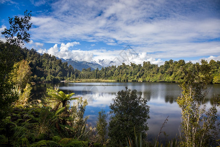 新西兰Mapourika湖风景图片