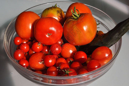 番茄茄属番茄蔬菜素食和纯素食品番茄蔬菜食品背景图片