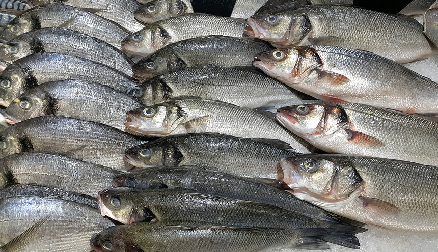 海鲜鱼市场销售图片