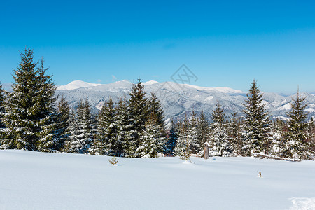 风景如画的冬季山景从乌克兰的斯库波瓦山坡可以看到乔诺霍拉山脊和皮普伊万山顶以及喀尔巴阡天文台大楼背景