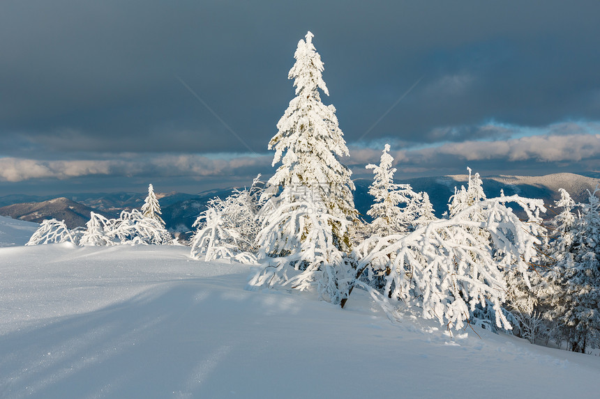 夜晚寒冬平静的山地景观坡上有美丽的霜冻树木和滑雪乌克兰喀尔巴阡山图片