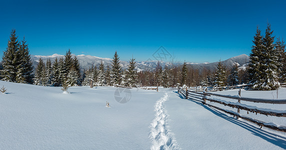 照片来自高山路的冬晨景有足迹斯库波瓦山坡乌克兰科霍诺拉山脊和皮普伊万山峰喀尔巴阡背景