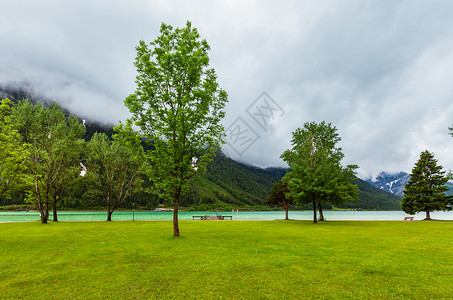 AchenseeAchen湖夏季风景绿草地和木质原奥地利背景图片