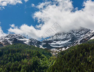 山坡上有森林的夏季山地景观奥利SilvrettaAlps图片