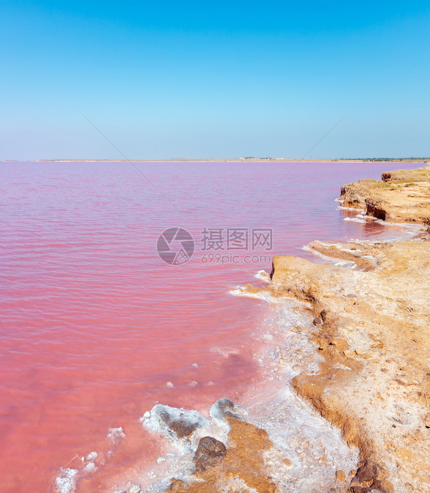 粉色极咸西瓦什湖以微藻为颜色含晶状盐沉降物又称普特里德海或罗滕乌克兰特森地区里米亚和阿拉巴特斯匹附近图片