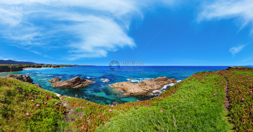 夏季开花的大西洋海岸风景有粉红色花朵和两个海滩Xuncos和Castros西班牙图片