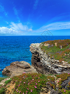 夏季开花的大西洋海岸风景有粉红色花朵西班牙Islas海滩两针缝合图象图片