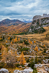 芒西瓦尔莫尔森高山多洛米景和平的瓦尔帕罗拉路景意大利的贝卢诺远处斯马莫拉达基夫和冰川背景