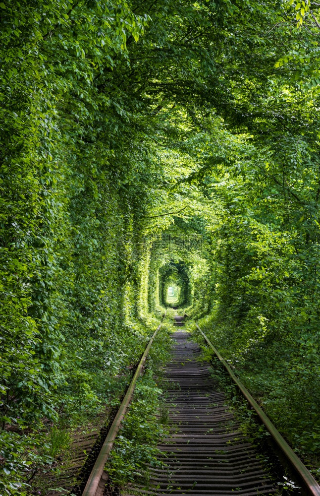 Love隧道位于乌克兰Klevan附近森林的铁路段因此命名为在之前附近村庄的女孩和前军事部队 参加约会图片