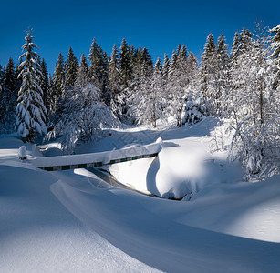 高山雪冬季寒森林带雪流和冰冻的小溪图片