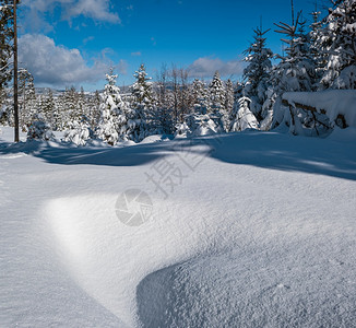 高山雪冬季寒森林带雪流图片