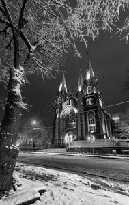 乌克兰利沃夫的圣奥尔哈和伊丽莎白的明亮冬季夜间教堂1903年建造图片