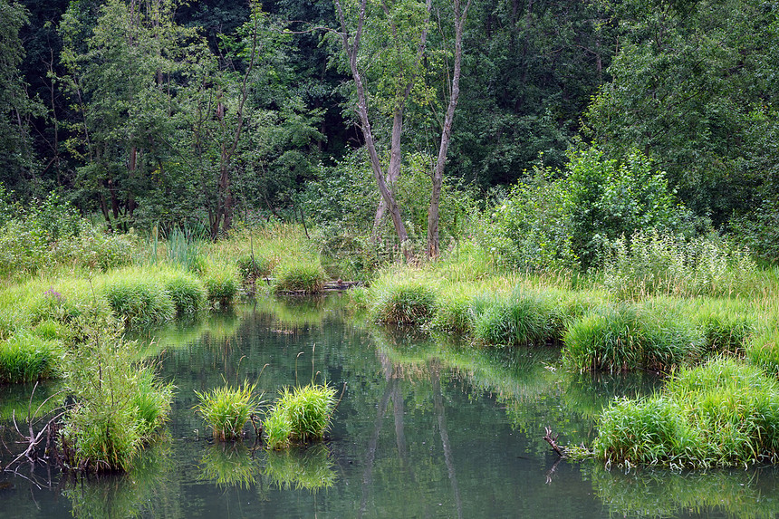 俄罗斯莫斯科波克罗夫斯科斯特里什内沃公园的河流图片