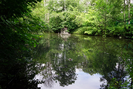 俄罗斯莫科公园湖图片