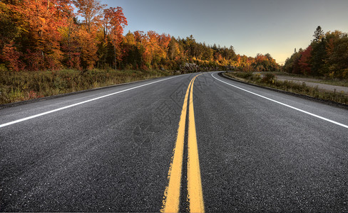 加拿大秋色公园和道路图片