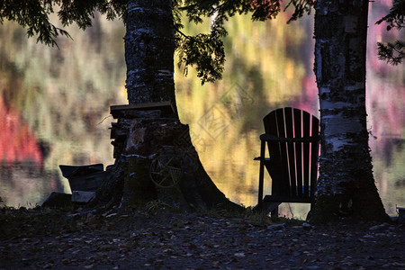 加拿大秋天Algonquin公园海滩椅子图片