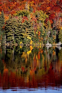 安大略省马斯科卡阿尔冈琴湖秋天的颜色高清图片