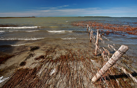马尼托巴湖沿岸的泥滩图片