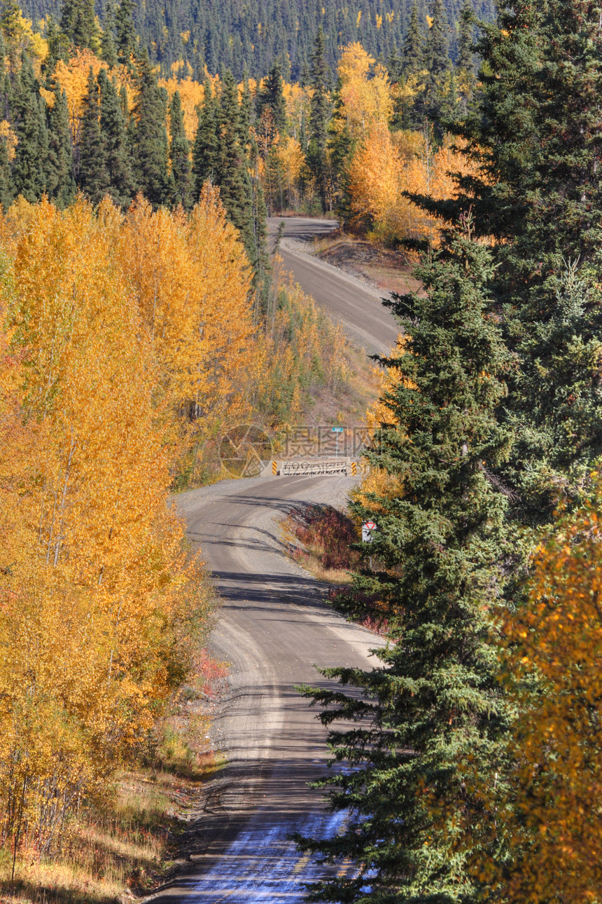 不列颠哥伦比亚省沿山路的棕色秋树图片
