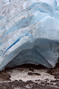 不列颠哥伦比亚熊冰川公园的场背景图片