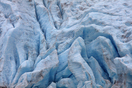 不列颠哥伦比亚熊冰川公园的场背景图片