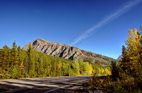 贾斯珀公园森林和山岳路透视背景图片
