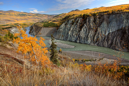哥伦比亚峡谷不列颠哥伦比亚北部Stikine河的秋色背景