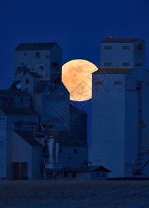 加拿大萨斯喀彻温夜满月图片