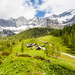 奥地利村庄周围环绕着以雪覆盖阿尔卑斯山为背景的森林草地田和牧场图片