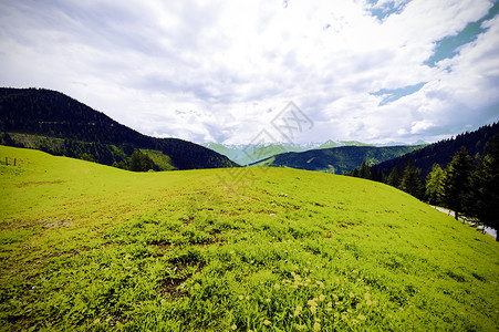 奥地利风景以雪压阿尔卑斯山的背景为有森林田地牧场和草图片
