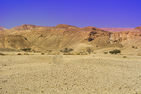 惊艳窒息落基山以色列内盖夫沙漠的落基山以色列南部岩层令人窒息的景象被瓦迪斯山和深坑打断的尘土山背景