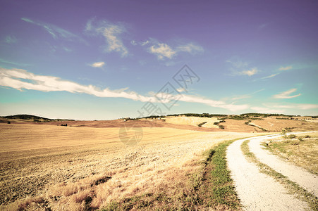 意大利犁田和托斯卡纳山丘之间的泥土路图片