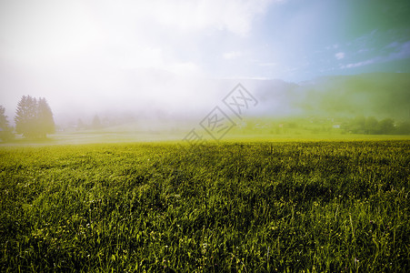以森林田地牧场和草原覆盖奥地利貌的晨雾图片