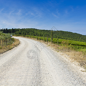 通往葡萄园间道路图片素材