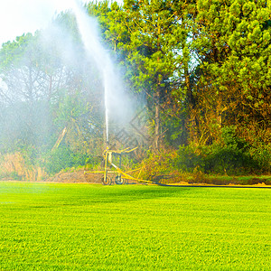 葡萄牙田地喷水灌溉系统图片