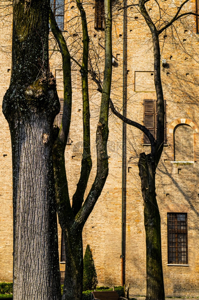 Gonzaga公爵在Mantua的宫殿院子里树木阴暗影图片