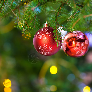Xmas背景室内新鲜圣诞树枝上带雪花的红球图片