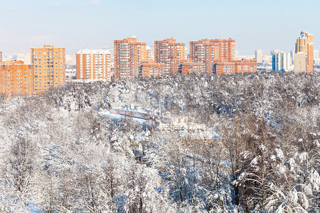 耶加雪啡自然花园高清图片