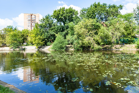 夏季莫斯科市蒂米里亚泽夫斯基公园大花园BigAcademicheskiy池塘附近的扎本卡河背景图片