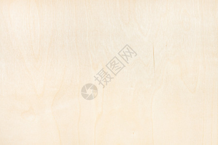 天然圆木胶合板的空白背景背景图片