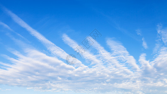 在阳光明媚的秋天蓝和棕榈状云层的蓝天全景图片