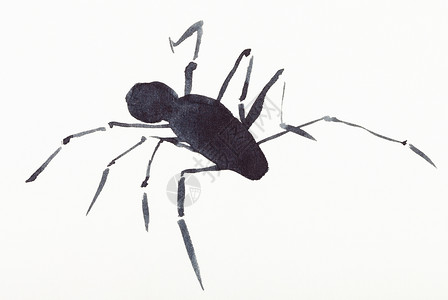 在奶油纸上手工绘画用黑水彩的蜘蛛图片