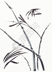在奶油纸上手工绘画用黑水彩色绘制的竹子植物图片