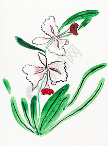水彩兰花在奶油纸上用石皮E样式手工绘画由水彩色抽取的兰花背景
