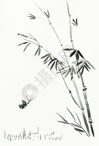 水墨淡彩用水彩油漆色涂料Sumiesuibukuga风格的训练教学竹树附近的蝴蝶是用乳油纸画的手背景